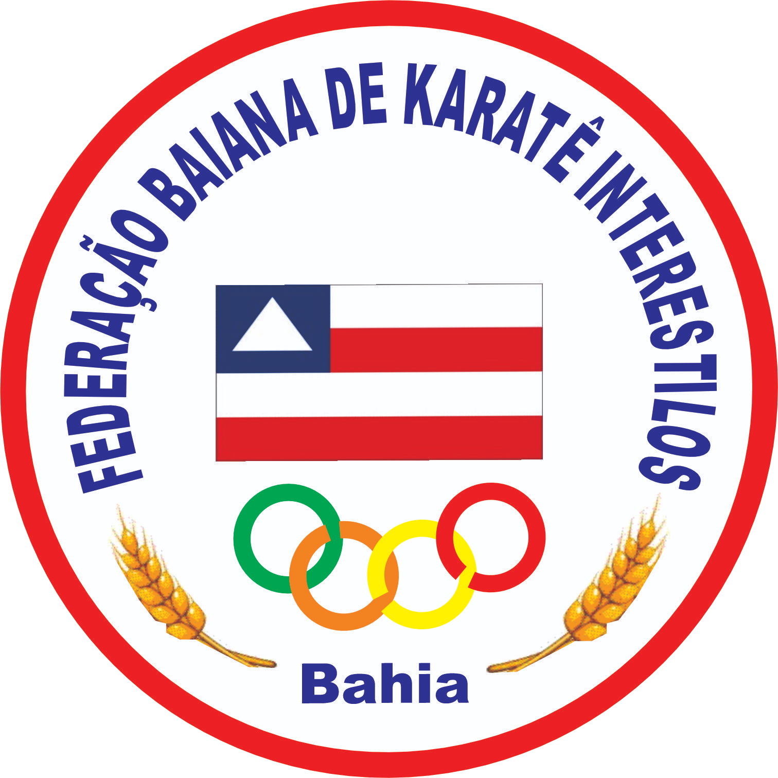 KARATÊ TIGRE GUERREIRO